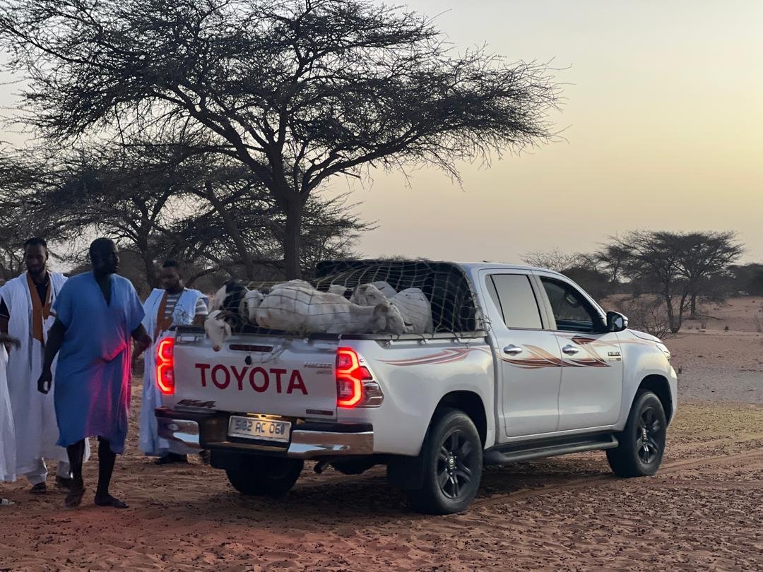 WhatsApp Image 2024-12-19 at 17.37.01