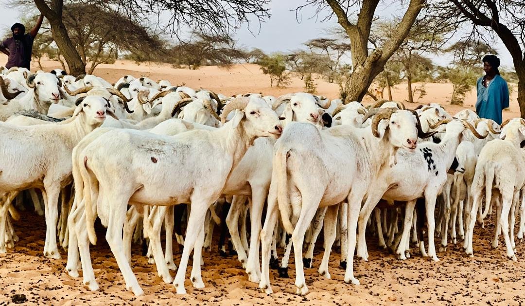 WhatsApp Image 2024-12-19 at 17.37.04 (1)