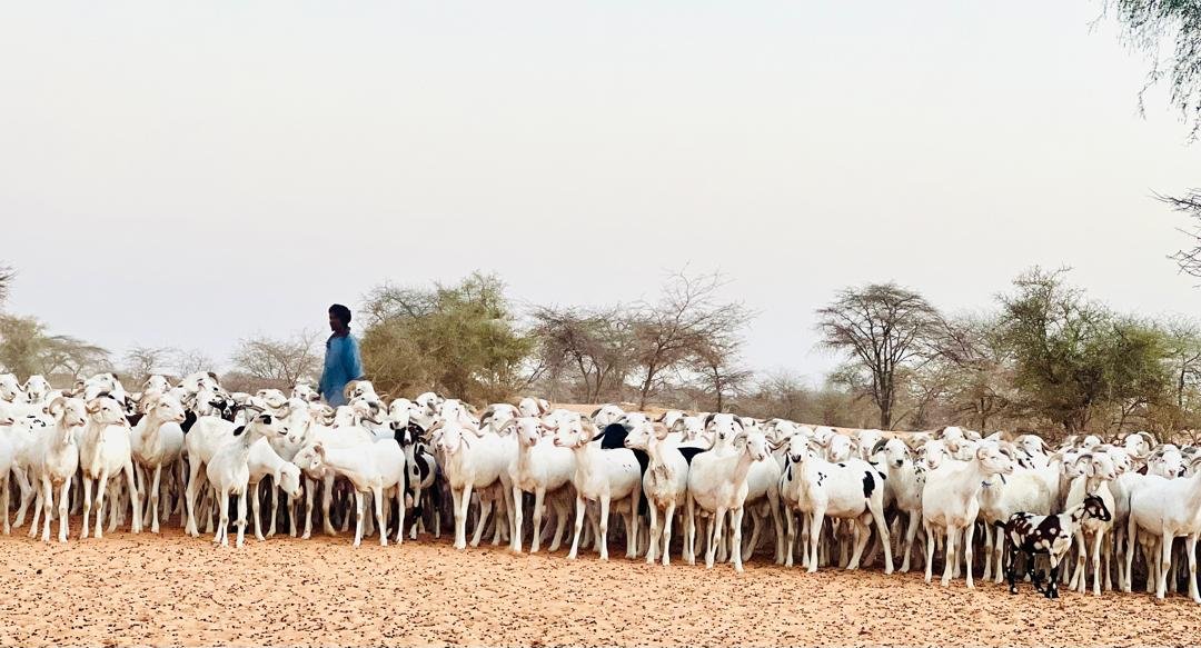 WhatsApp Image 2024-12-19 at 17.37.04 (3)