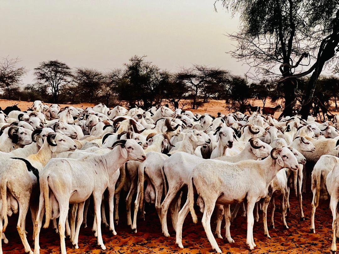 WhatsApp Image 2024-12-19 at 17.37.04 (4)