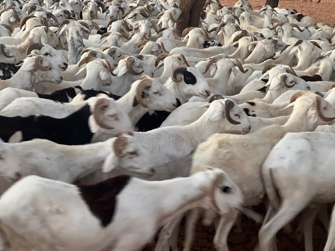 WhatsApp Image 2024-12-19 at 17.37.04