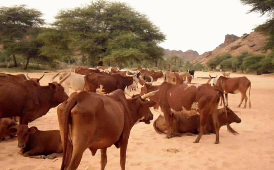 WhatsApp Image 2024-12-19 at 17.58.38